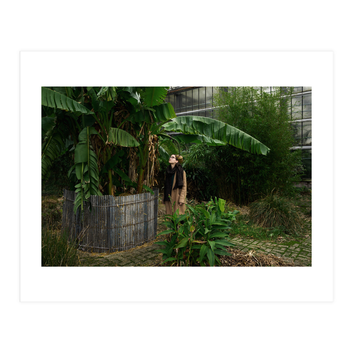 Transition from Summer to Winter (Print Only)