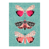 Lepidoptery Study No. 6 (Print Only) thumbnail