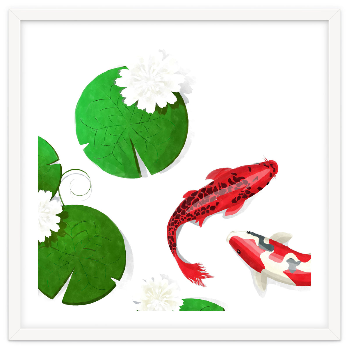 Watercolor Koi Fish Background