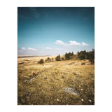 Dartmoor  (Print Only) thumbnail