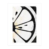 Citrus Collection No4 (Print Only) thumbnail