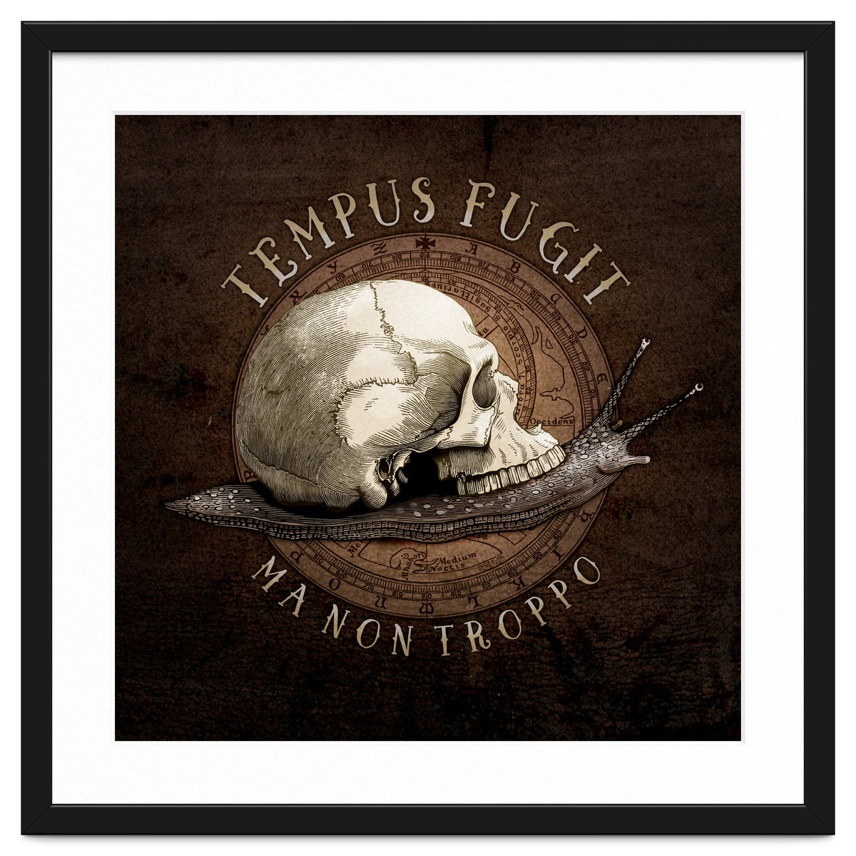 Tempus Fugit (ma non troppo)