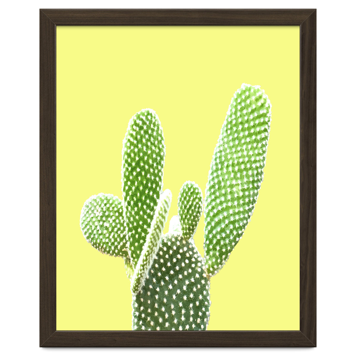 Cactus Yellow Background