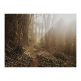 Mt. Davidson II (Print Only) thumbnail