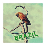 Eagle in Brazil (Print Only) thumbnail