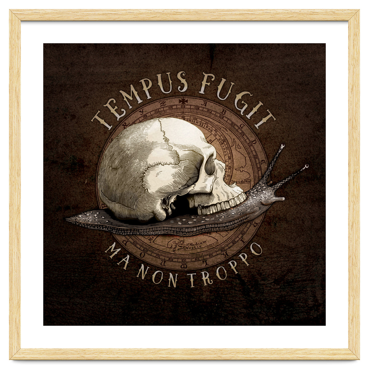 Tempus Fugit (ma non troppo)