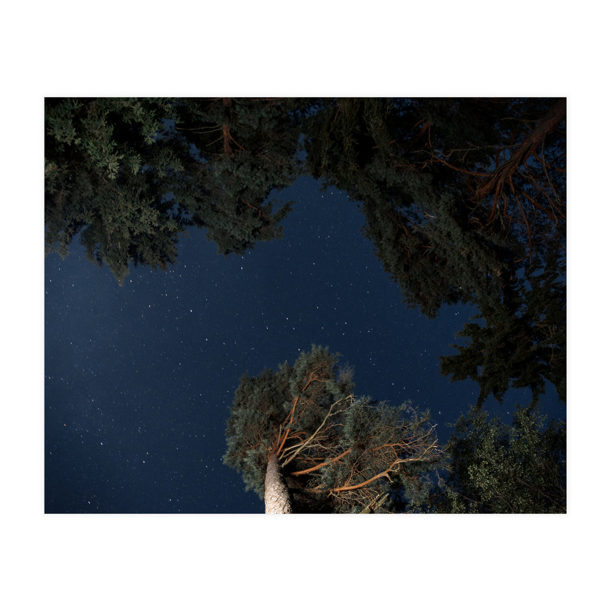 Sputnik Turntables (Print Only)