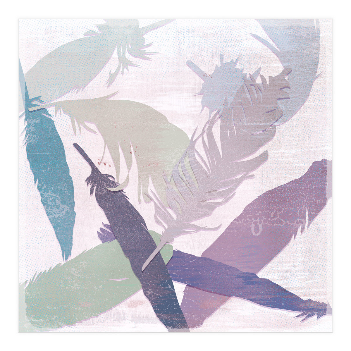 Feathers (Print Only)