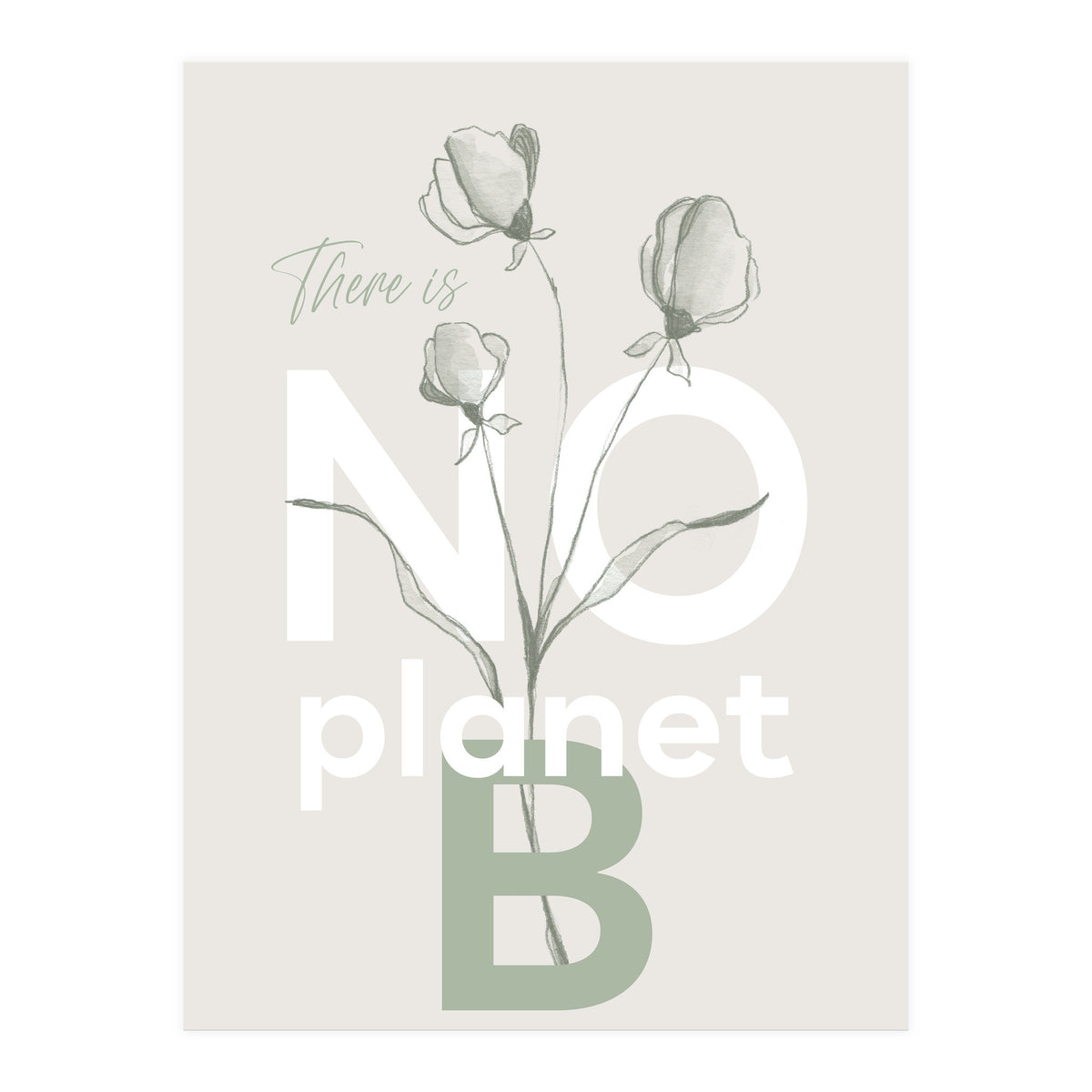 There is no planet B (Print Only)