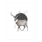 Winter Is All Around II (Print Only) thumbnail