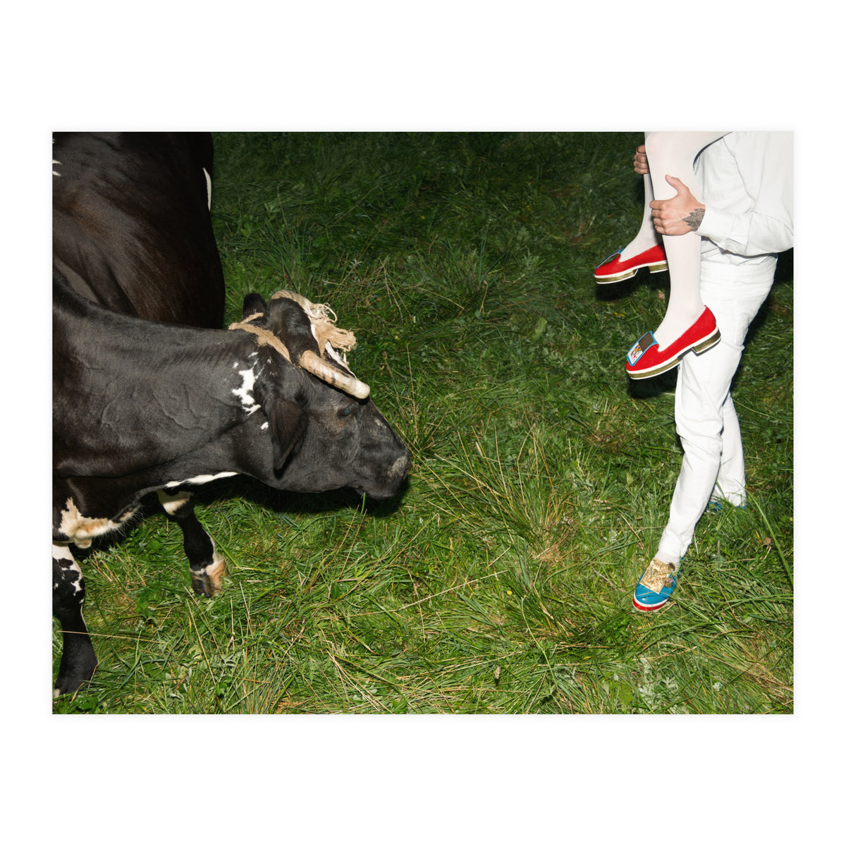 Moo means No (Print Only)