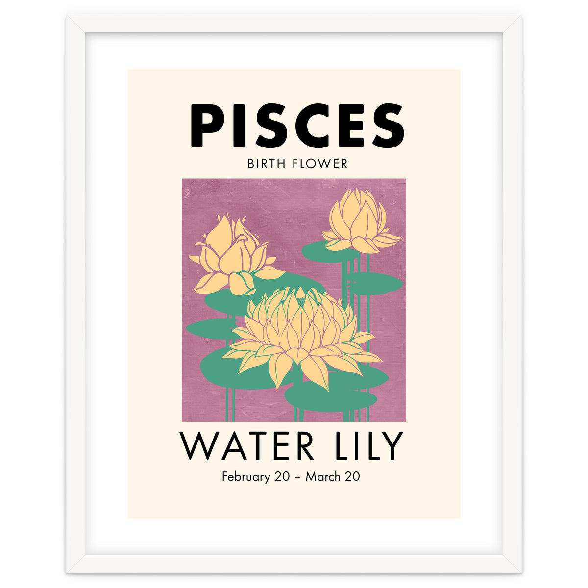 Pisces Birth Flower Water Lily