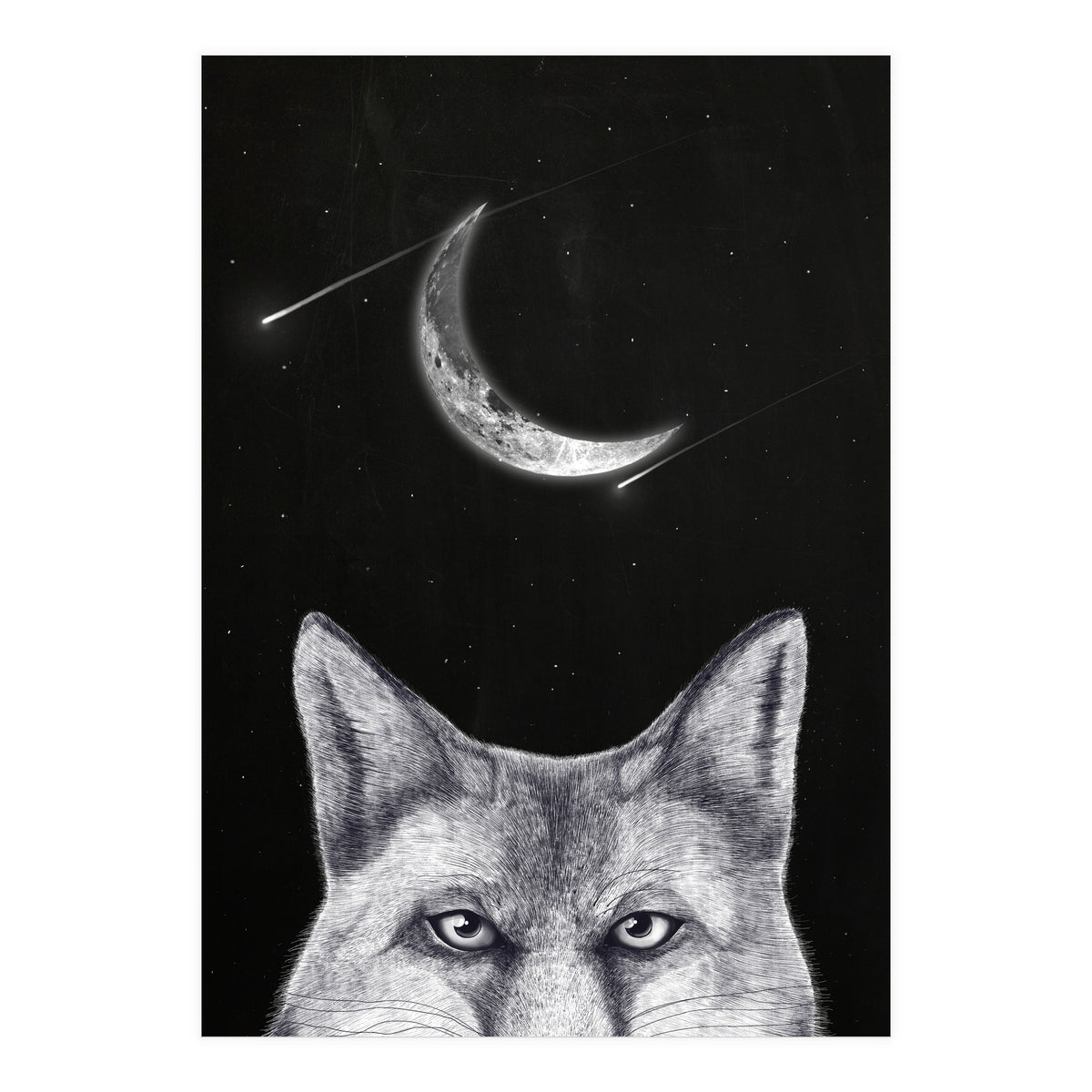 Fox Of The Night (Print Only)