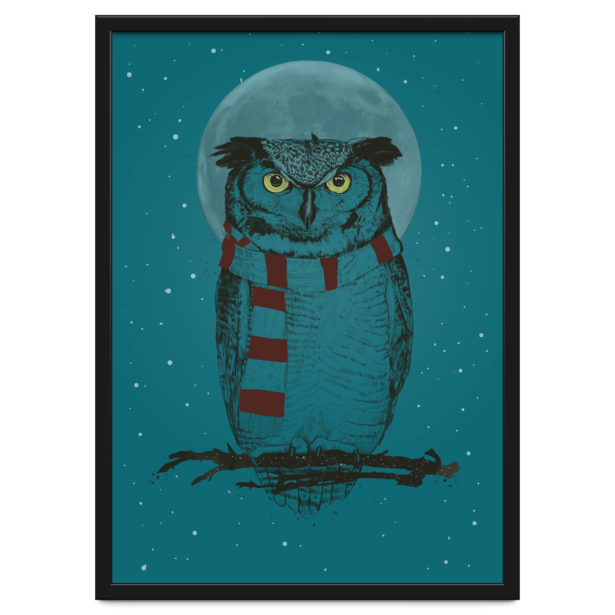 Winter Owl II