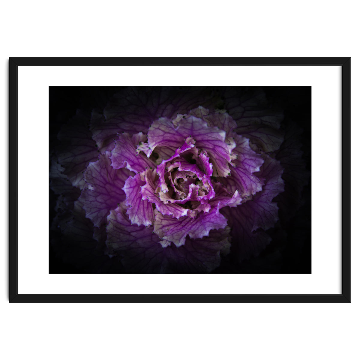 Backyard Flowers No 42 Color Version