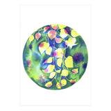Vine Shadows (Print Only) thumbnail