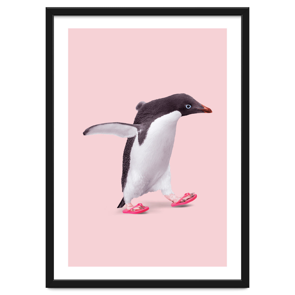 Flip Flop Penguin