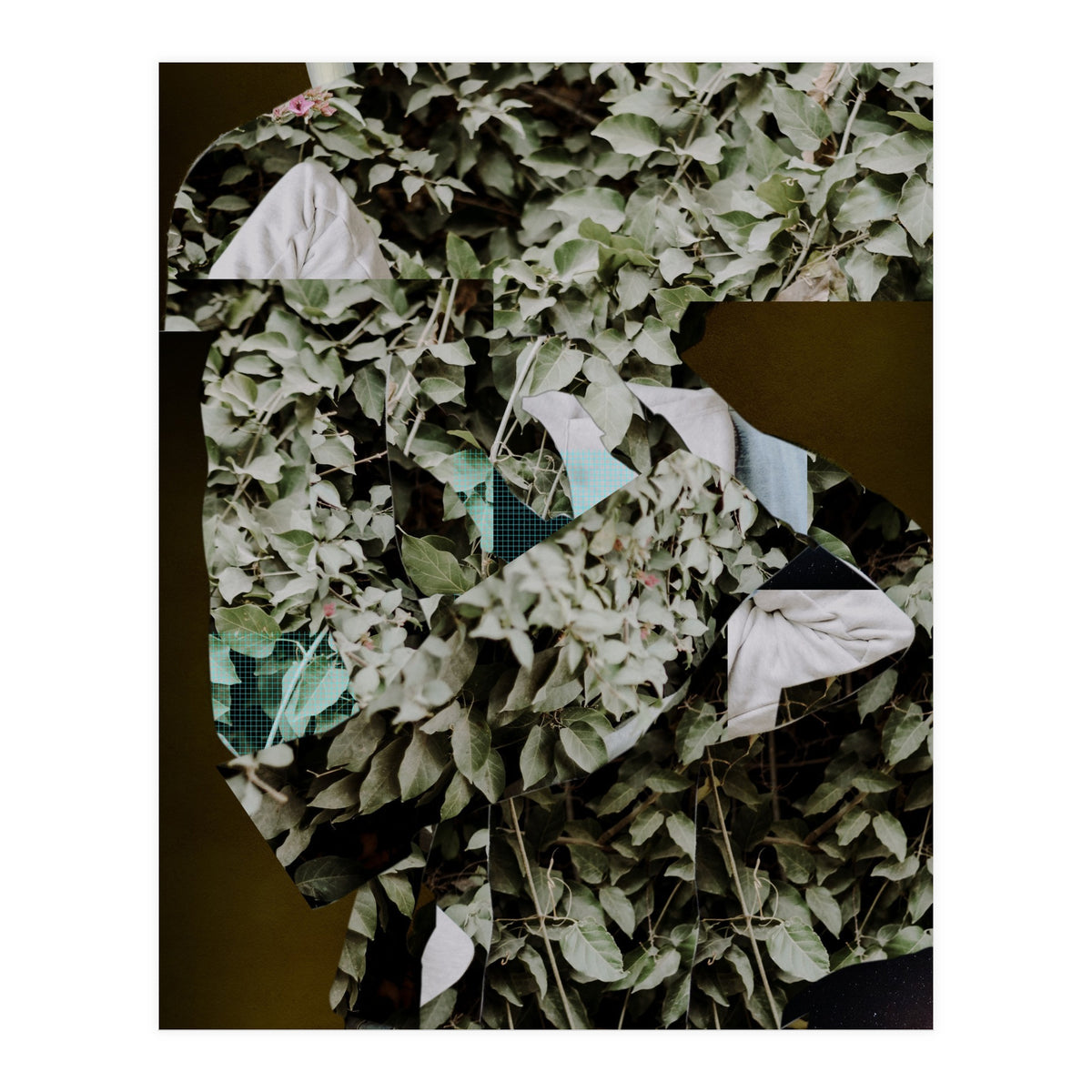 Disappeared Dreams 2 (Print Only)