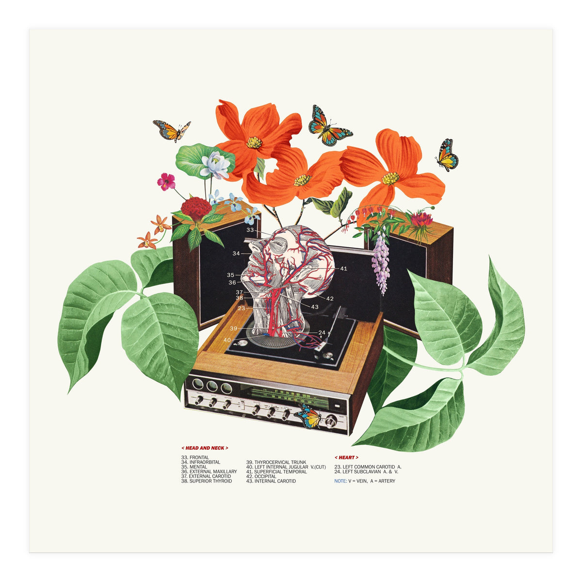 Brainwave (Print Only)