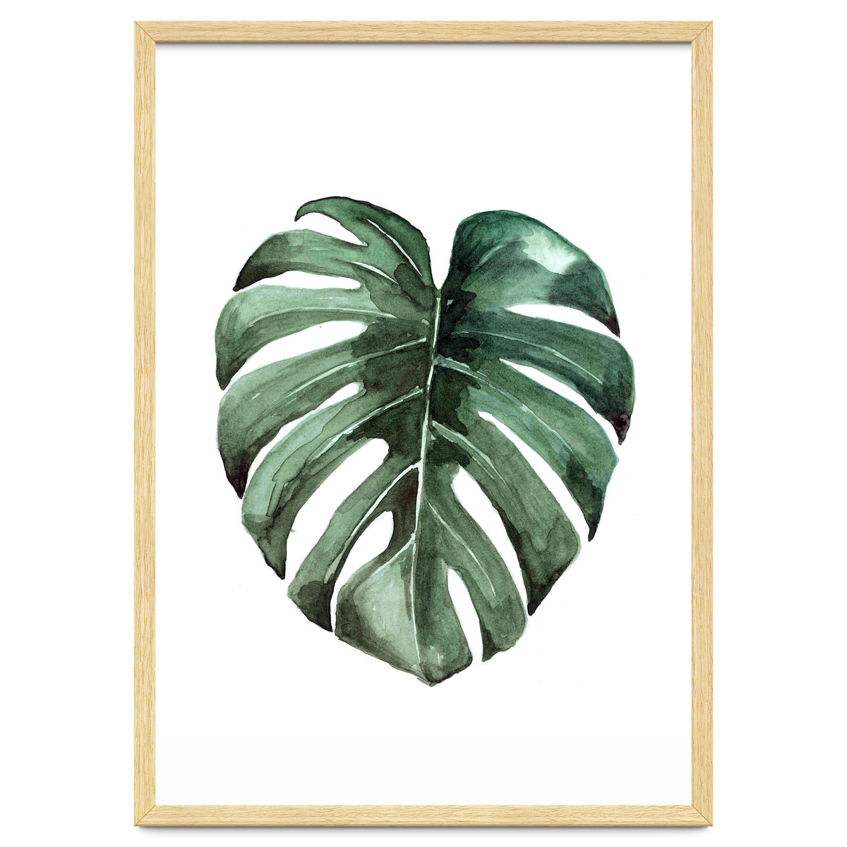 Botanical Illustration Monstera Deliciosa