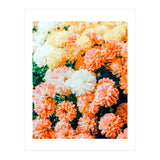 Garden Song (Print Only) thumbnail