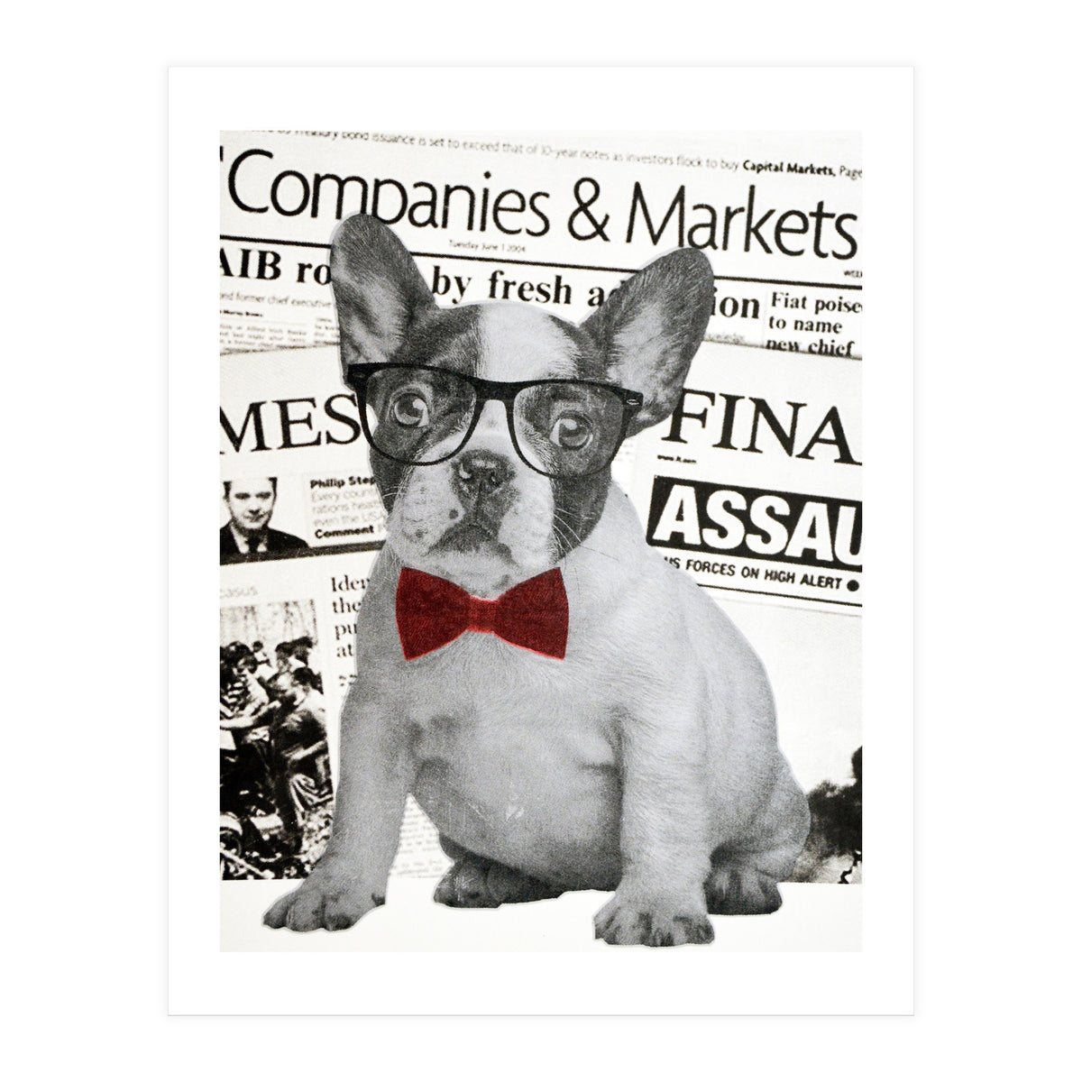 The Dog Of Wall Street (Print Only)