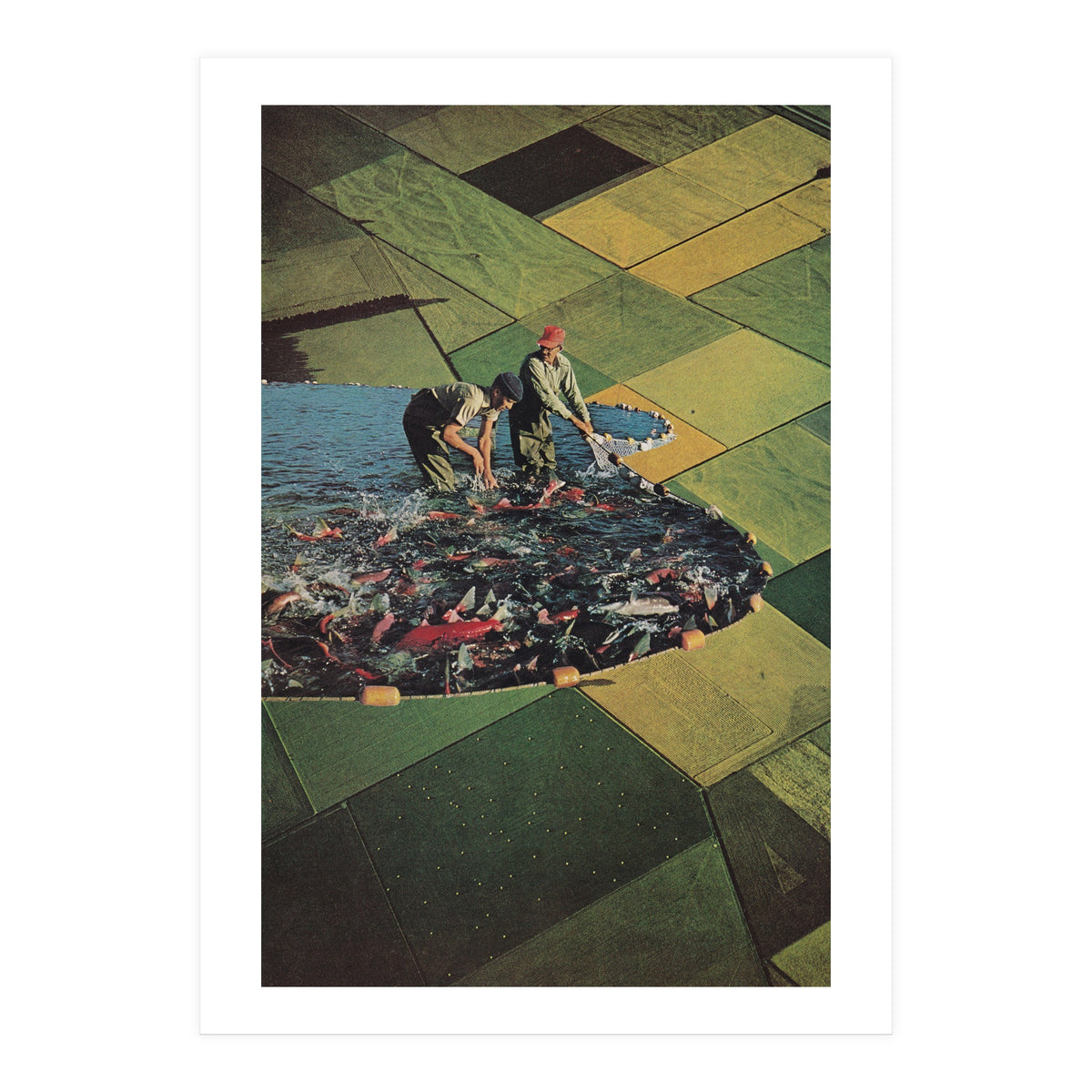 Salmon Farm (Print Only)