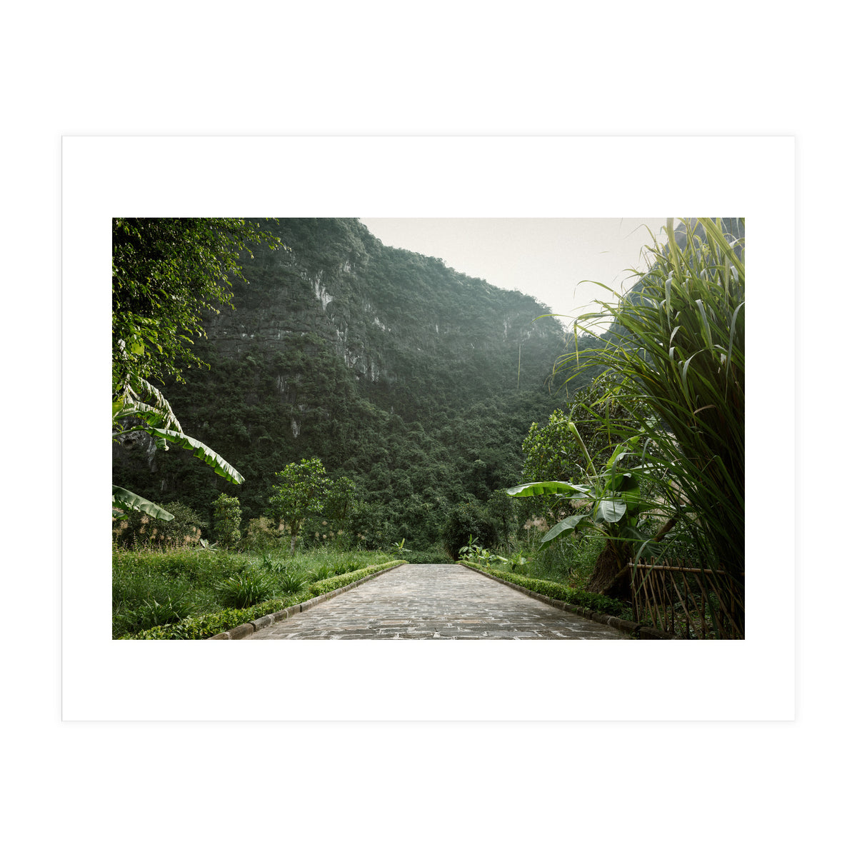 Greenscape (Print Only)