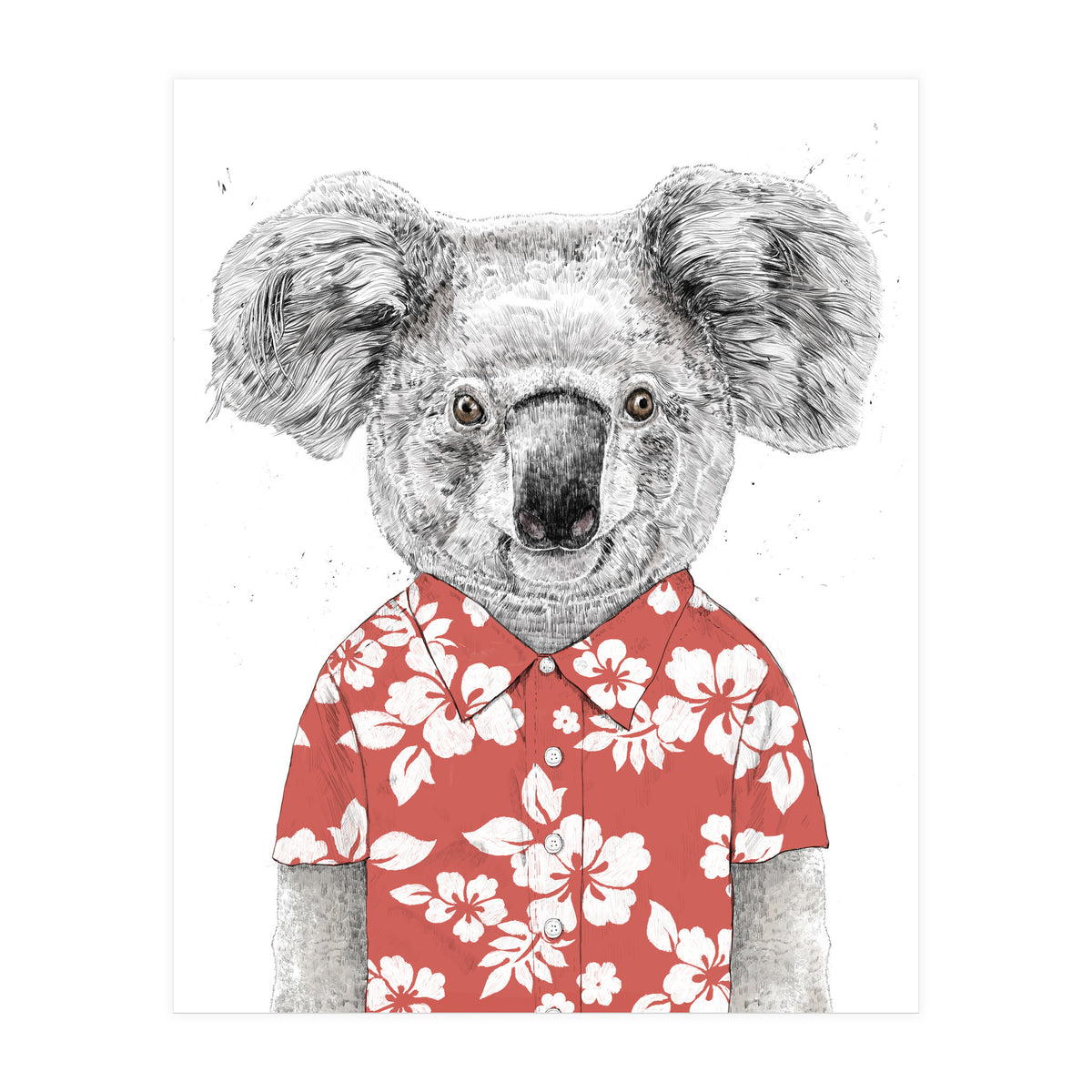 Summer Koala  (Print Only)