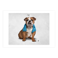 Bull (Print Only)