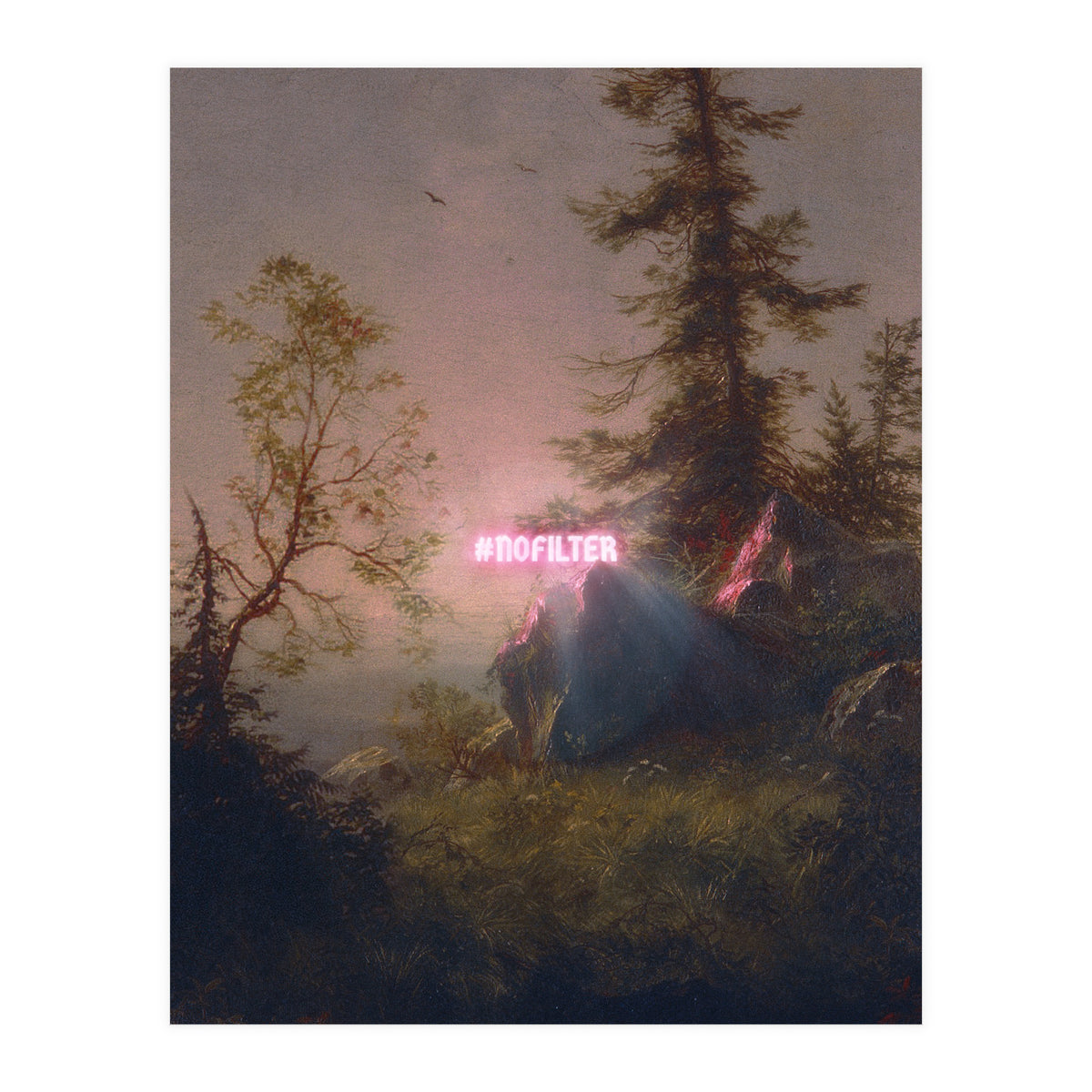 No Filter (Print Only)