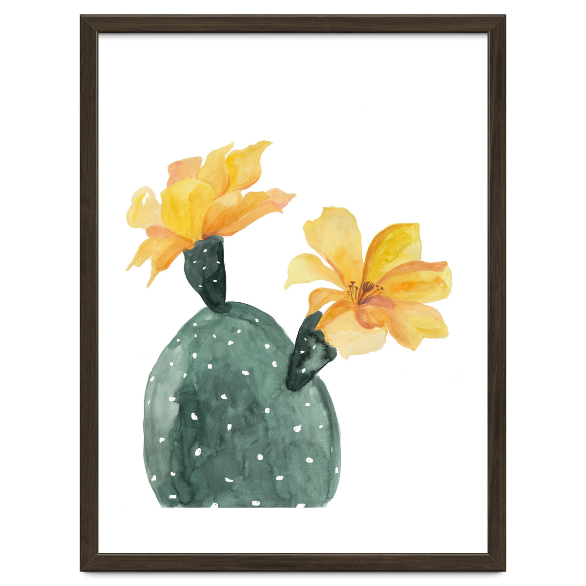 Botanical Illustration Yellow Cactus Flowers