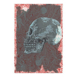 Saffron (Print Only) thumbnail