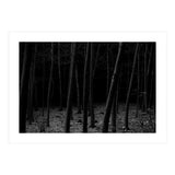 silent woods (Print Only) thumbnail
