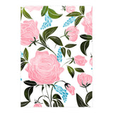 Rosy V2 (Print Only) thumbnail