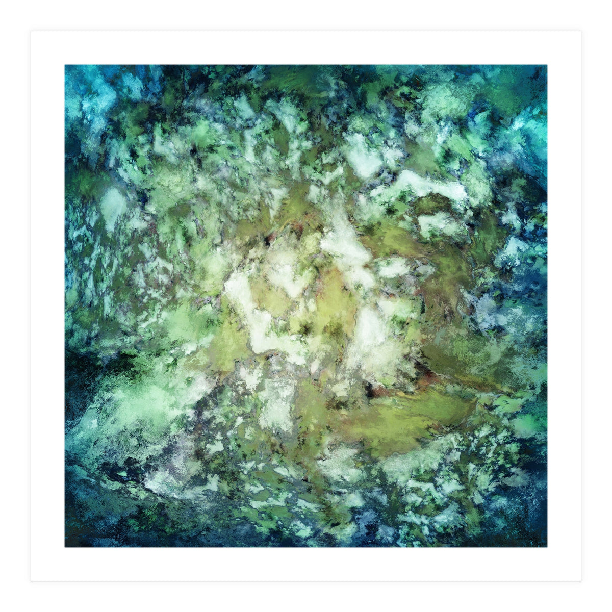 Observation (Print Only)