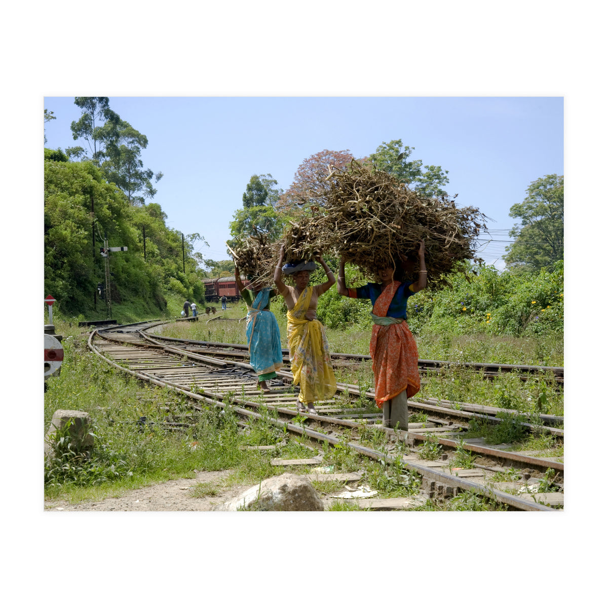 Nuwara Eliya, Sri Lanka (Print Only)