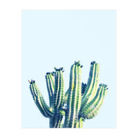 Cactus (Print Only)