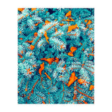 Winter Lush (Print Only) thumbnail