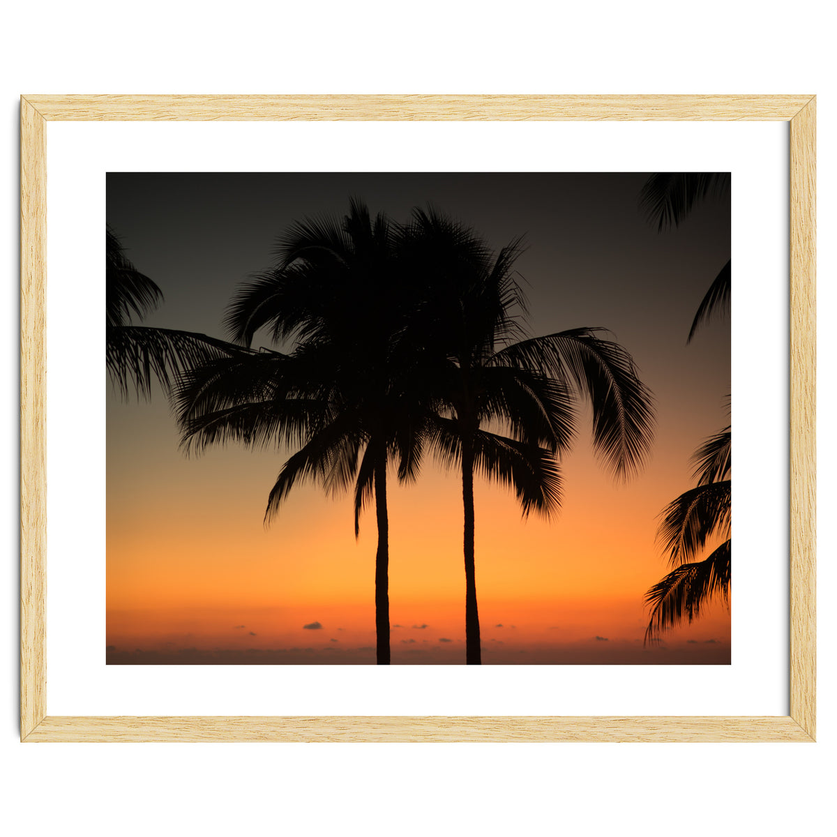 Mexico, November nights