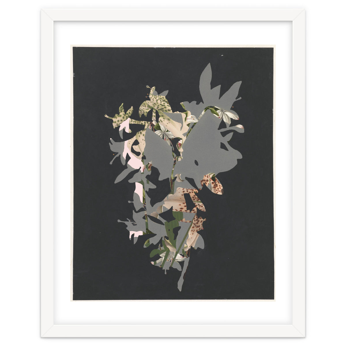 The First Plant · Black