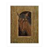 Inquisitive (Print Only) thumbnail