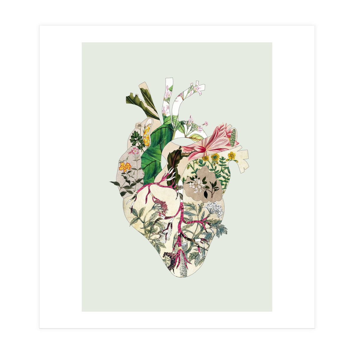 Vintage Botanical Heart - Green (Print Only)