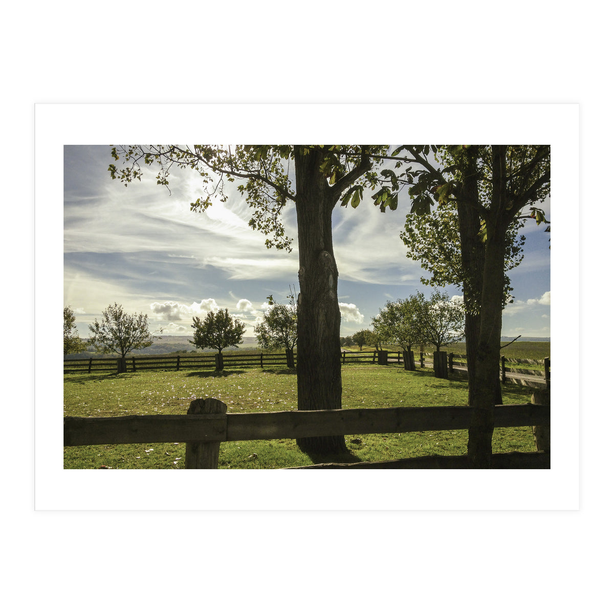 Bucolism 2 (Print Only)