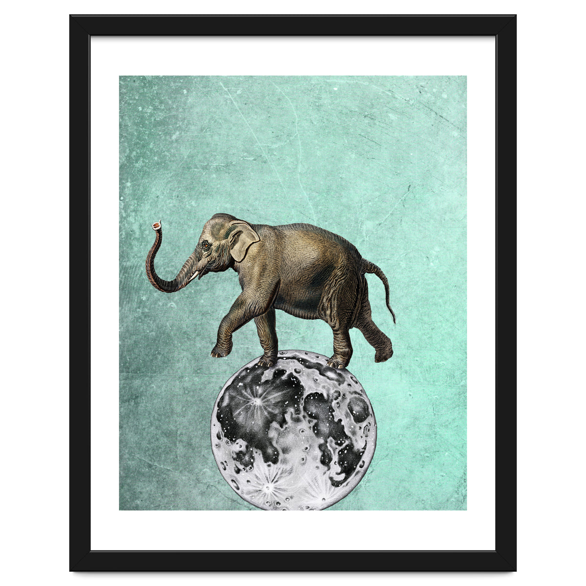 elefante sul modo