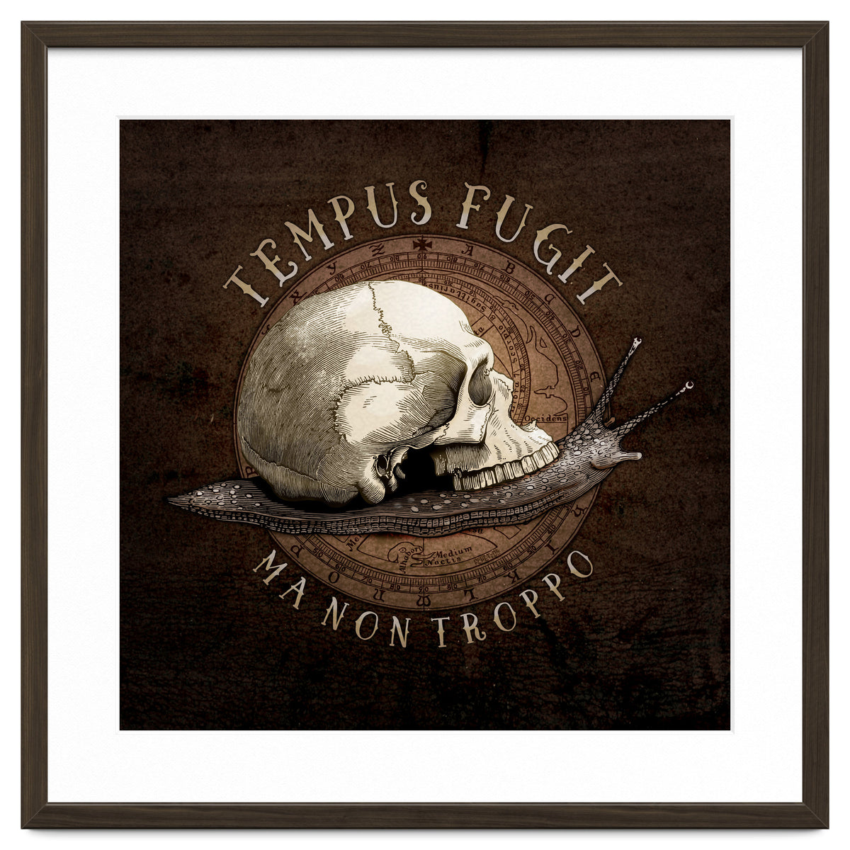 Tempus Fugit (ma non troppo)