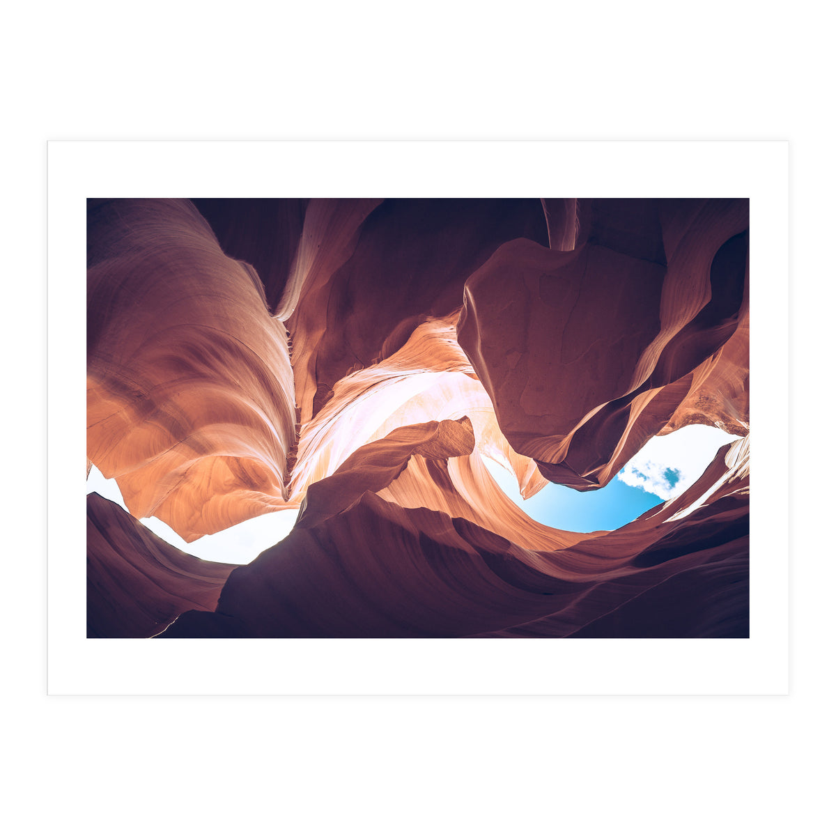 Twisted (Print Only)