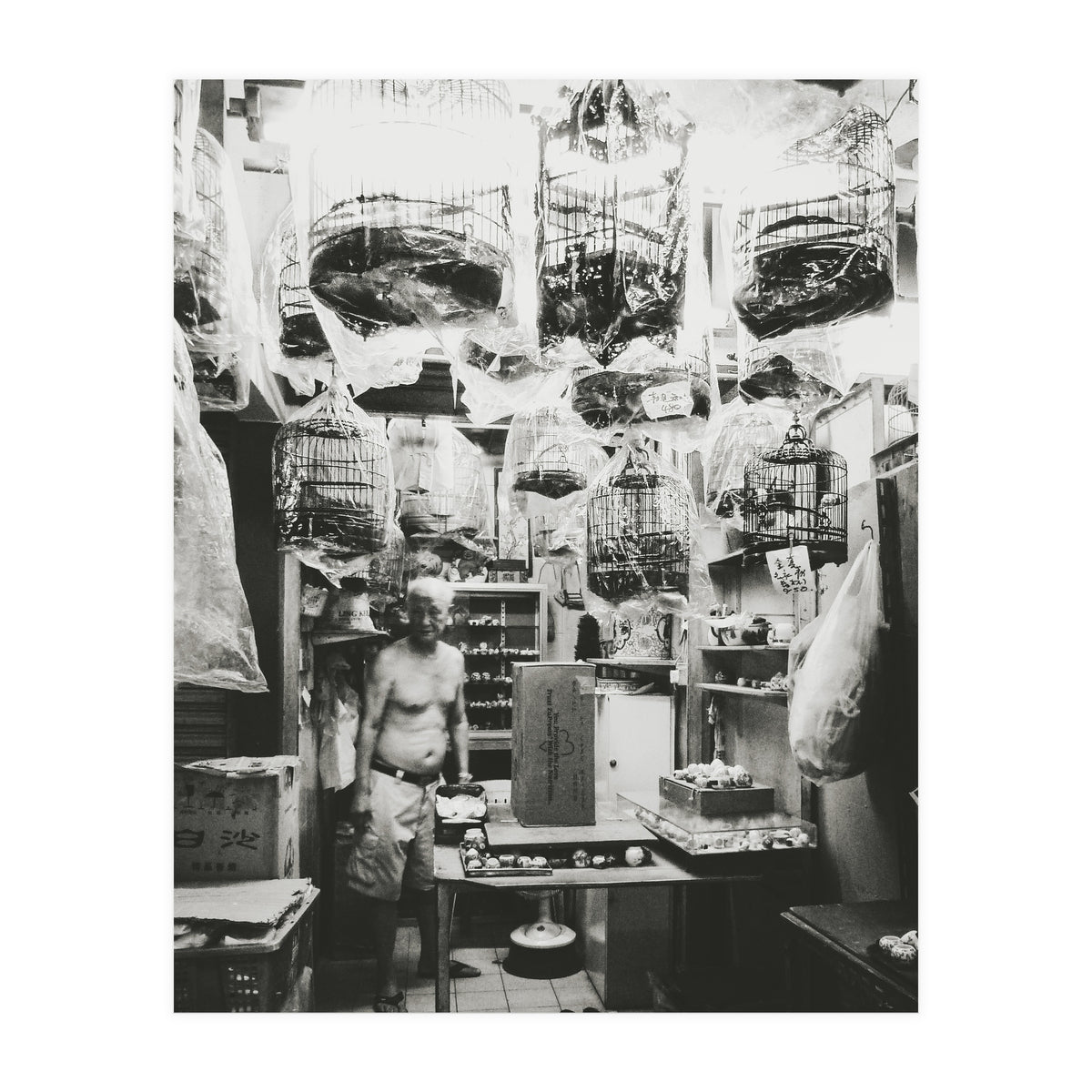 Yuen Po (Print Only)