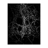 Spiderweb No 4 (Print Only) thumbnail