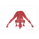 Prasarita Padottanasana in Red (Print Only) thumbnail